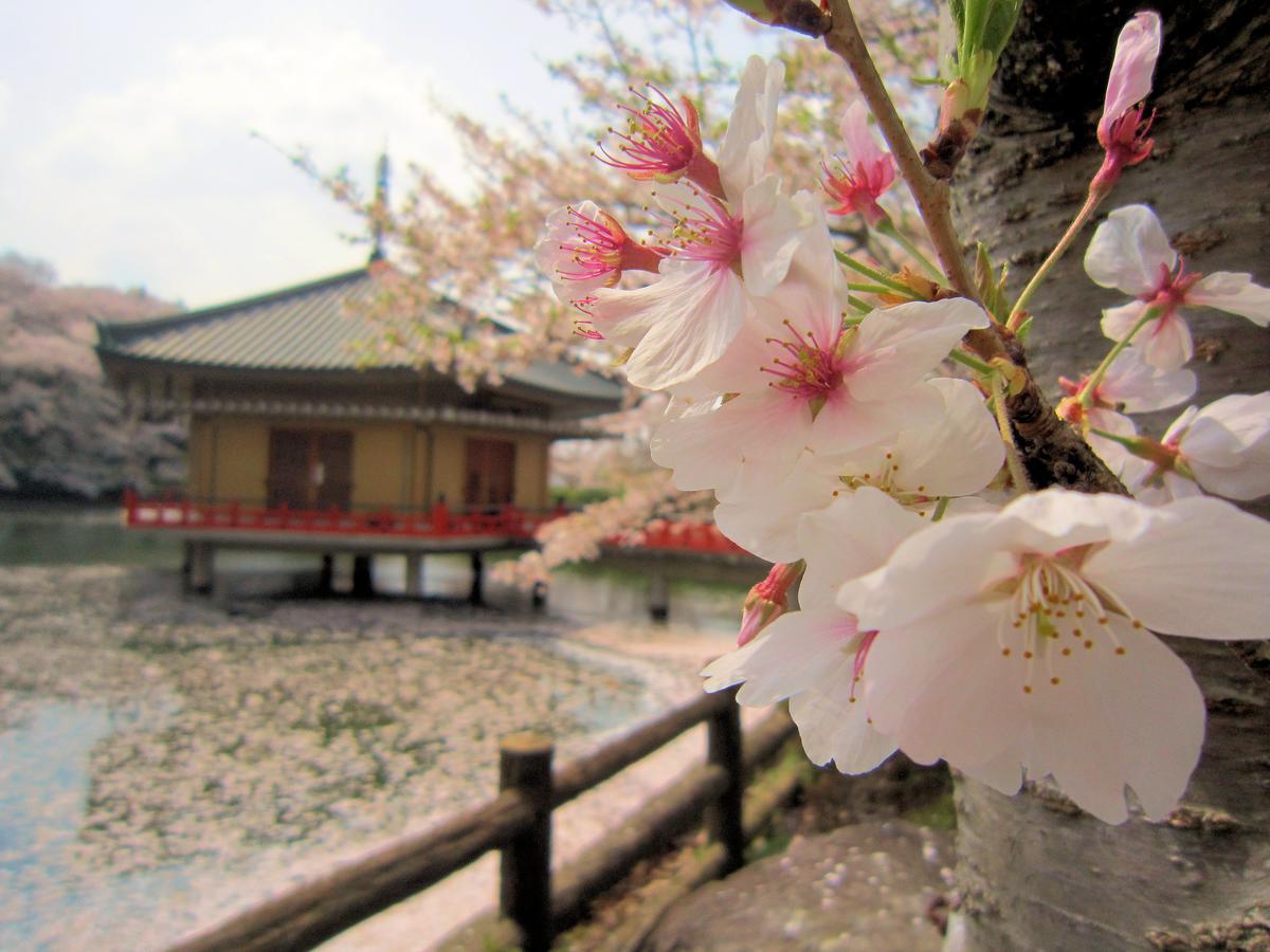 Ryokan Taishoro Ξενοδοχείο Sakurai Εξωτερικό φωτογραφία